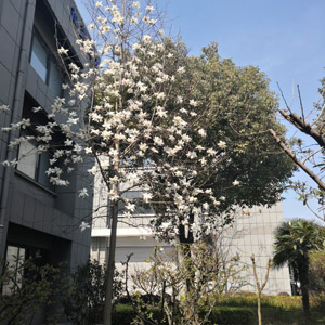 廠區環境