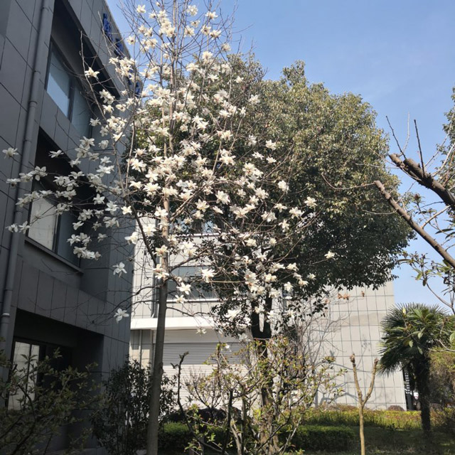 廠區環（huán）境